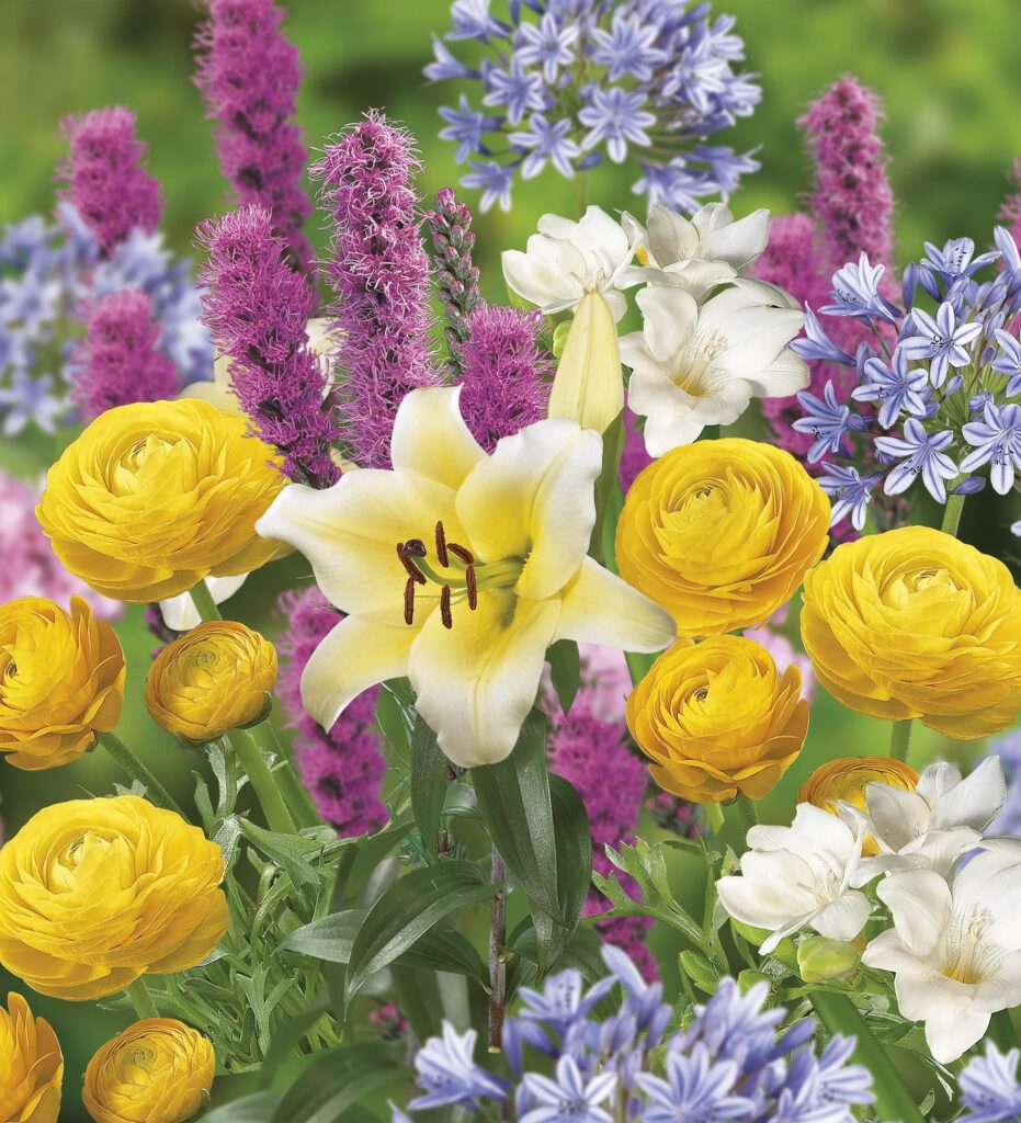 FLOWERS
