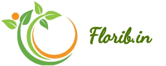 Florib